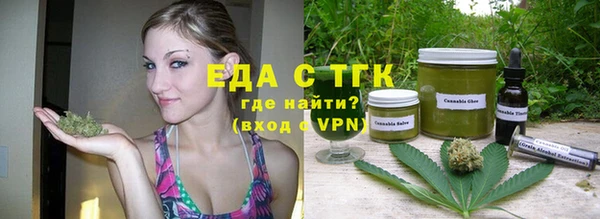 индика Алзамай